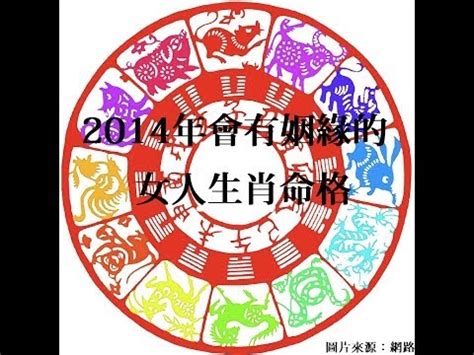 2014屬馬|【2014年屬什麼】2014年生肖大揭密！屬什麼生肖、五行命格一。